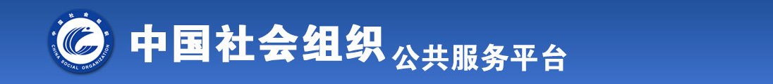 www.17c.黄全国社会组织信息查询